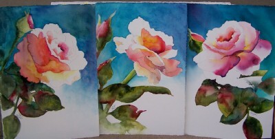 Three different angles of a light pink rose